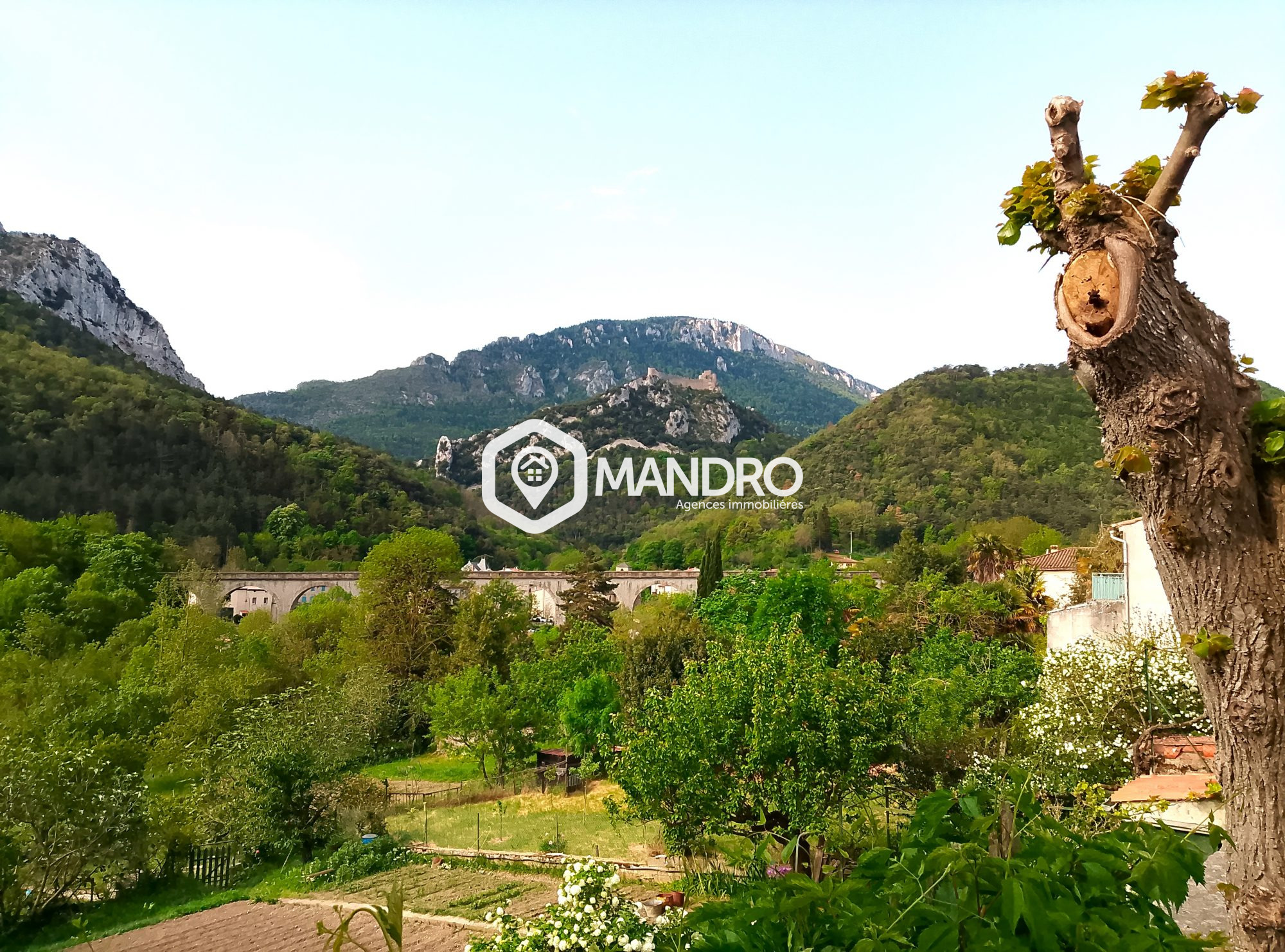 la vue vers le château de Puilaurens à 50 m