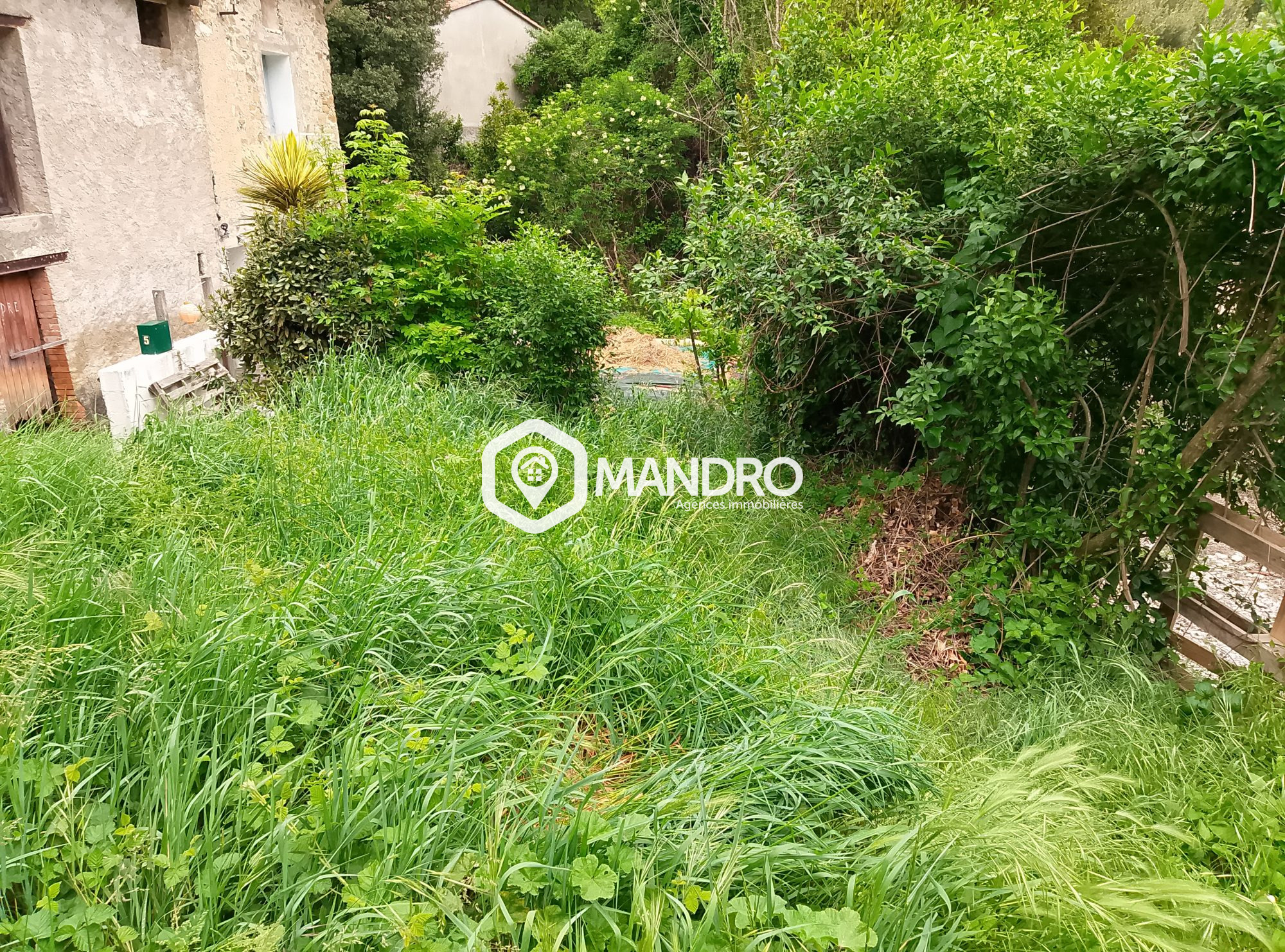 le 1er jardin